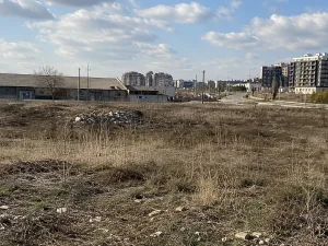 Friches industrielles en France : l’erreur qui coûte cher
